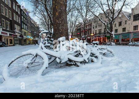 Fahrräder mit Schnee bedeckt auf dem Thorbeckeplein Stadtplatz in Amsterdam Stockfoto