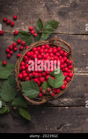 Rote Beeren von frischem Weißdorn im Korb stehend auf einem Holztisch. Speicherplatz kopieren. Stockfoto
