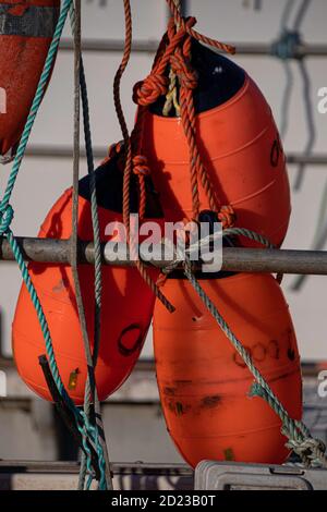 Hummer Angelboys gebunden an Boot bereit für die nächste Reise. Stockfoto