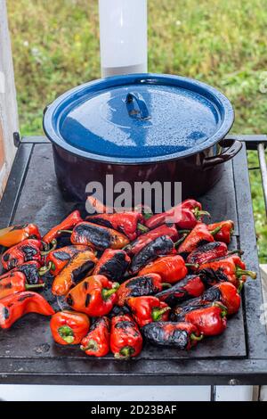 Rote Paprika rösten auf einem Holzofen in Vorbereitung für die Herstellung ajvar, ein traditionelles serbisches Gericht Stockfoto