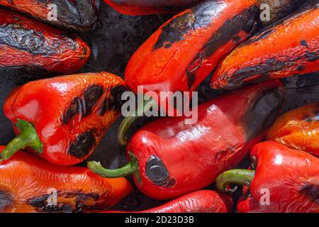 Rote Paprika rösten auf einem Holzofen in Vorbereitung für die Herstellung ajvar, ein traditionelles serbisches Gericht Stockfoto