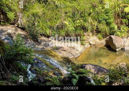 Kleiner Wasserfall über Felsen bei Rapaura Watergardens, Themse, Nordinsel, Neuseeland. Stockfoto