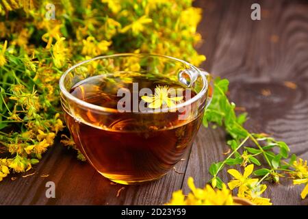 Glasbecher mit Hypericum perforatum, Johanniskraut oder tutsan Pflanzengetränk mit frischen Blumen. Kräutermedizin. Stockfoto