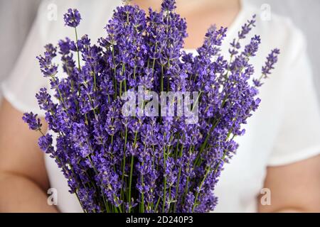 Frau hält schöne Bouquet von frischen Lavendelblüten, Nahaufnahme Stockfoto