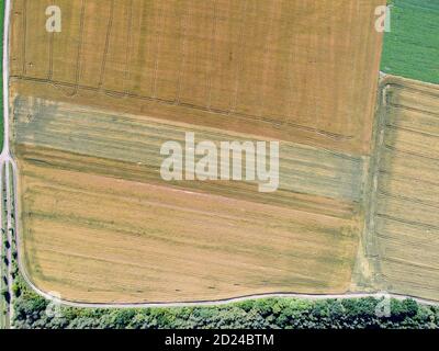Draufsicht auf ein landwirtschaftliches Feld mit Getreide von verschiedenen Sorten, Traktorspuren auf dem Feld. Stockfoto
