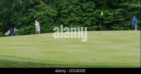 Golfspielerin auf Grün trifft Ball in Richtung Loch im Pinner Hill Golf Club. Golfwagen auf der linken Seite, Tee und andere Golfer in blau auf der rechten Seite. Nordwest-London Stockfoto