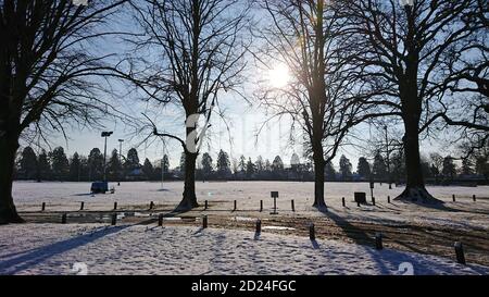 Die Wintersonne scheint durch die Bäume auf einem verschneiten Morgen in Surrey Stockfoto