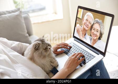 Junge asiatische Erwachsene Tochter Aufenthalt zu Hause mit Haustier Katze Online-Gespräche mit älteren Eltern über einen Videochat mit einem Laptop Computer Stockfoto