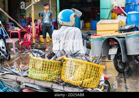 Ein Mann auf seinem Motorrad verlässt den Hafen von Phu Quoc Stockfoto