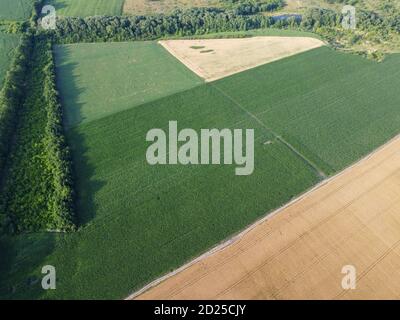 Landwirtschaftliche Landschaft, Luftaufnahme der Felder Stockfoto
