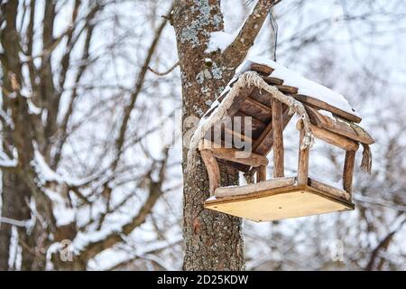 Hausgemachte Bird Feeder. Die Vögel im Winter Stockfoto