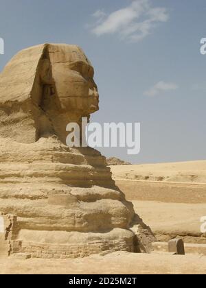 Seitenansicht der Großen Sphinx in Giza in Kairo Stockfoto