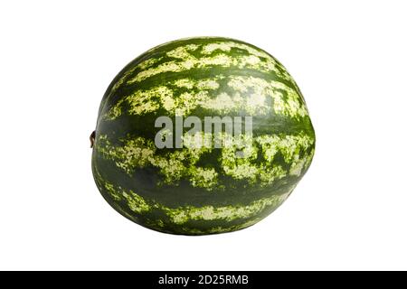 Ganze Wassermelone mit grün gestreiften Schale isoliert auf weiß Hintergrund Stockfoto