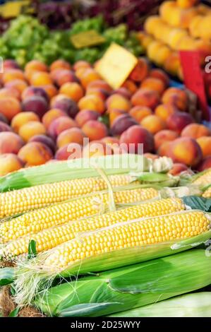 Frisches Bio-Obst Gemüse und Mais. Ernte von Pfirsichen, Paprika und Mais auf der Theke des Bauernmarktes in Jalta Stockfoto