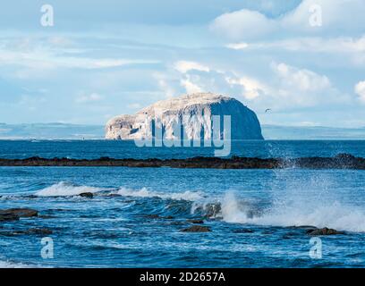 East Lothian, Schottland, Großbritannien, 6. Oktober 2020. UK Wetter: Herbstwetter am Ravensheugh Sands mit Blick auf die Bass Rock Gannet Kolonie strahlend weiß im Sonnenschein an einem luftigen Tag. Die Tölpel sollen bald nach ihrer Brutzeit abreisen Stockfoto