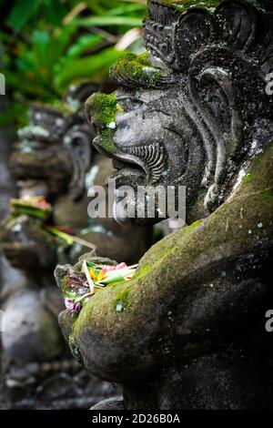 Seitenansicht einer Statue eines moosbedeckten Bedogol (aka Dwarapala)-Schutzgeistes, der rituelle Puja-Opfergaben hält, Hindu-Tempel, Ubud, Bali, Indonesien Stockfoto