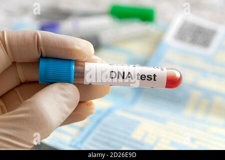 DNA-Testbeschriftung auf weißem Etikett. DNA-Bluttest in der Hand eines Arztes oder Wissenschaftlers im Labor. Blutprobe in einem Glasröhrchen Stockfoto