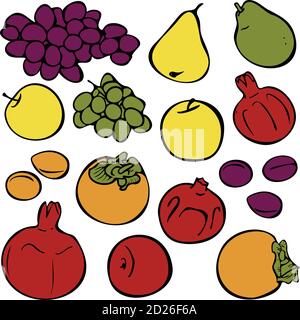 Vector Set von verschiedenen Früchten. Illustration Sammlung mit Trauben, Birnen, Apfel, Granatapfel, Pflaumen, Aprikosen und Kaki. Stock Vektor