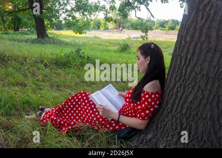 Junge Frau ruht sich an einem Sommertag im Park aus. Eine Brünette mit einem Buch auf dem Gras in der Nähe eines Baumes sitzt mit ihrem Rücken zum Stamm. Sommerstimmung Stockfoto