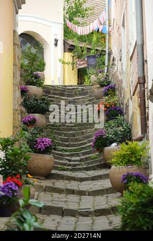 Alte Treppe in der Innenstadt, Szentendre, Pest County, Ungarn, Magyarprszág, Europa Stockfoto