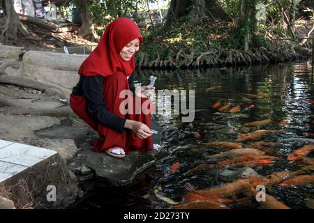 Portrait einer asiatischen Frau, die Fische in einem Teich füttert. Urlaub in Koi-Fischteichen am Wochenende Stockfoto