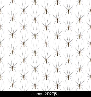 Giant Scary Spider Muster isoliert auf einem weißen Hintergrund. Stockfoto