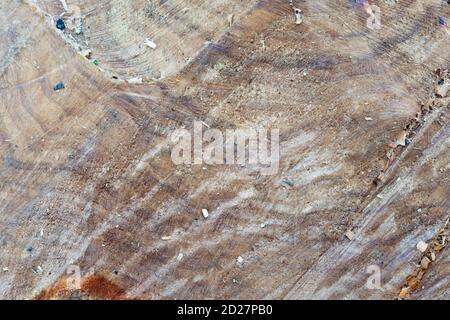 Schnittholz Plank Draufsicht Textur Stockfoto