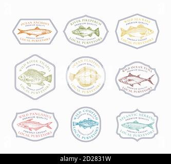 Fish Vintage Frame Badges oder Logo Vorlagen Set. Handgezeichnete Fluss- und Ozeanfische Skizzen Embleme Bundle mit Retro-Typografie. Stock Vektor