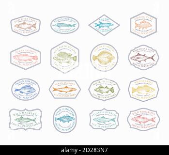 Fish Vintage Frame Badges oder Logo Templates Collection. Handgezeichnete Fluss- und Ozeanfische Skizzen Embleme Bundle mit Retro-Typografie. Stock Vektor