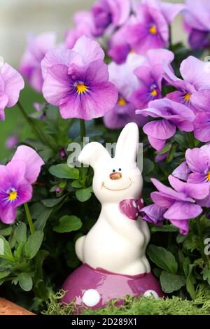 osterdekoration mit osterhase und violetten Viola-Blüten Stockfoto