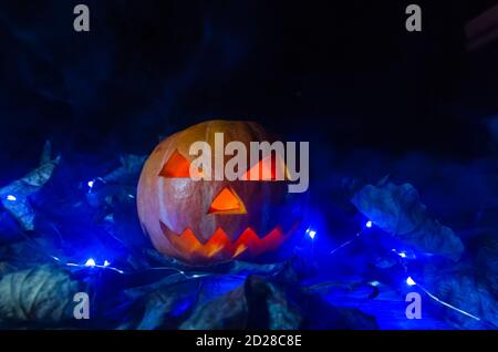 Orangefarbener Kürbis mit leuchtenden Augen, Mund im Dunkeln in blauer Beleuchtung im Rauch Nahaufnahme. Konzept von Halloween. Stockfoto