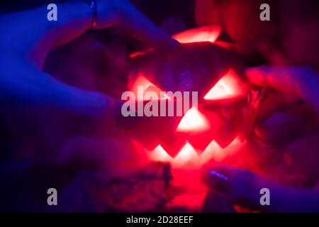 Weibliche blaue Hände mit bemalten Nägeln greifen im Dunkeln in der Rauchnahaufnahme nach dem glühenden bösen Kürbis. Hintergrund für Halloween, Konzept. Stockfoto
