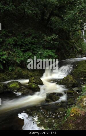 Afon Hwch unter Rhaeadr Ceunant Mawr, Llanberis. Stockfoto