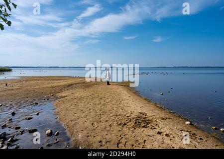 Ein Sandstrand an einem schönen See. Blauer Himmel und Wasser im Hintergrund. Bild von Ringsjon im Malmö in Südschweden Stockfoto