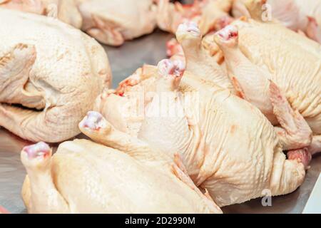 Frisch hausgemachtes Hühnerfleisch auf der Theke des Fleisch-Pavillons, rohes Hühnerfleisch in der Markttheke verkauft. Stockfoto