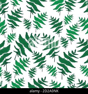 Grün Farn Blatt nahtlose wilden Wald Muster weißen Hintergrund. Stock Vektor