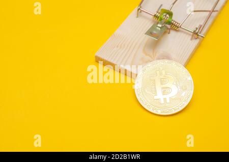 Mausefalle mit einer Goldbitcoin auf gelbem Hintergrund. Risiken und Gefahren der Investition in Bitcoin, Konzept Stockfoto