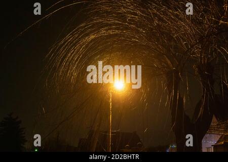 Baum Äste im Licht einer Nachtlampe Nahaufnahme. Hintergrund von verdrehten Ästen Bäume vor einer gelben Laterne Stockfoto