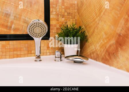 Whirlpool im Hotel. Moderne Badezimmerausstattung. Dusche, Wasserhahn und ein Topf mit einer Pflanze Stockfoto