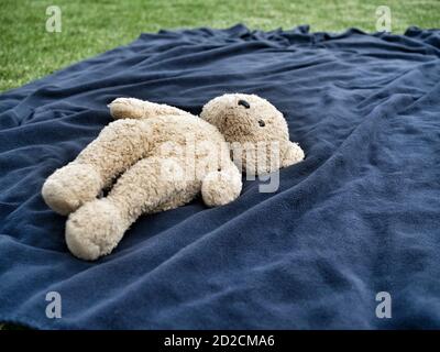 Teddybär liegt auf blauer Decke im Garten. Speicherplatz kopieren. Stockfoto