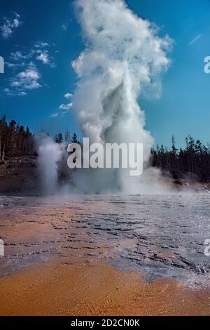 Grand Geyser Erupting, Upper Geyser Basin, Yellowstone National Park, Wyoming, USA Stockfoto