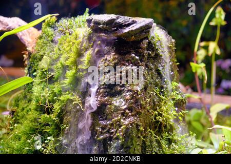 Dekorativer Wasserfall mit grünem Moos und Gras am Hang Stockfoto