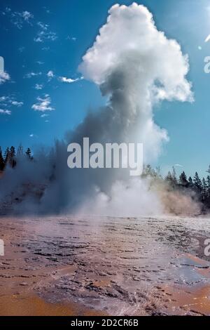 Grand Geyser Erupting, Upper Geyser Basin, Yellowstone National Park, Wyoming, USA Stockfoto