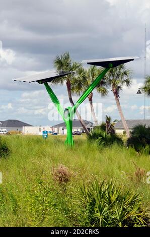 Solarbaum auf der Babcock Ranch, FL Stockfoto