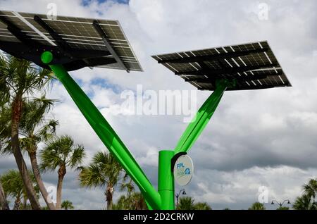 Solar. Baum auf Babcock Ranch, FL Stockfoto