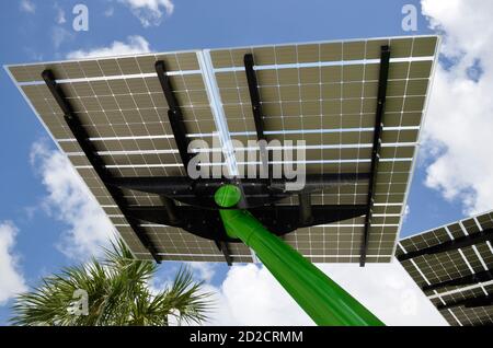 Solar. Baum auf Babcock Ranch, FL Stockfoto