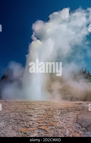 Grand Geyser Erupting, Upper Geyser Basin, Yellowstone National Park, Wyoming, USA Stockfoto