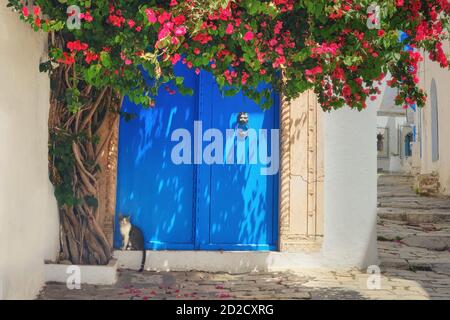 Katze am Baum mit Blumen in der Nähe der Tür mit arabischem Ornament in Sidi Bou Said, Tunesien Stockfoto