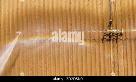 Luftaufnahme Drehmittelpunkt Landwirtschaft Bewässerung Maschine von Kulturpflanzen. Eine beregnungsachse Bewässerung landwirtschaftlicher Flächen. Bewässerung Bewässerung farm Land. Stockfoto