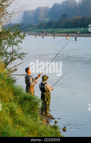 Herrenfischen, Vedder River, Chilliwack, British Columbia, Kanada Stockfoto